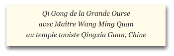 Qi Gong de la Grande Ourse avec Maître Wang Ming Quan  au temple taoiste Qingxia Guan, Chine